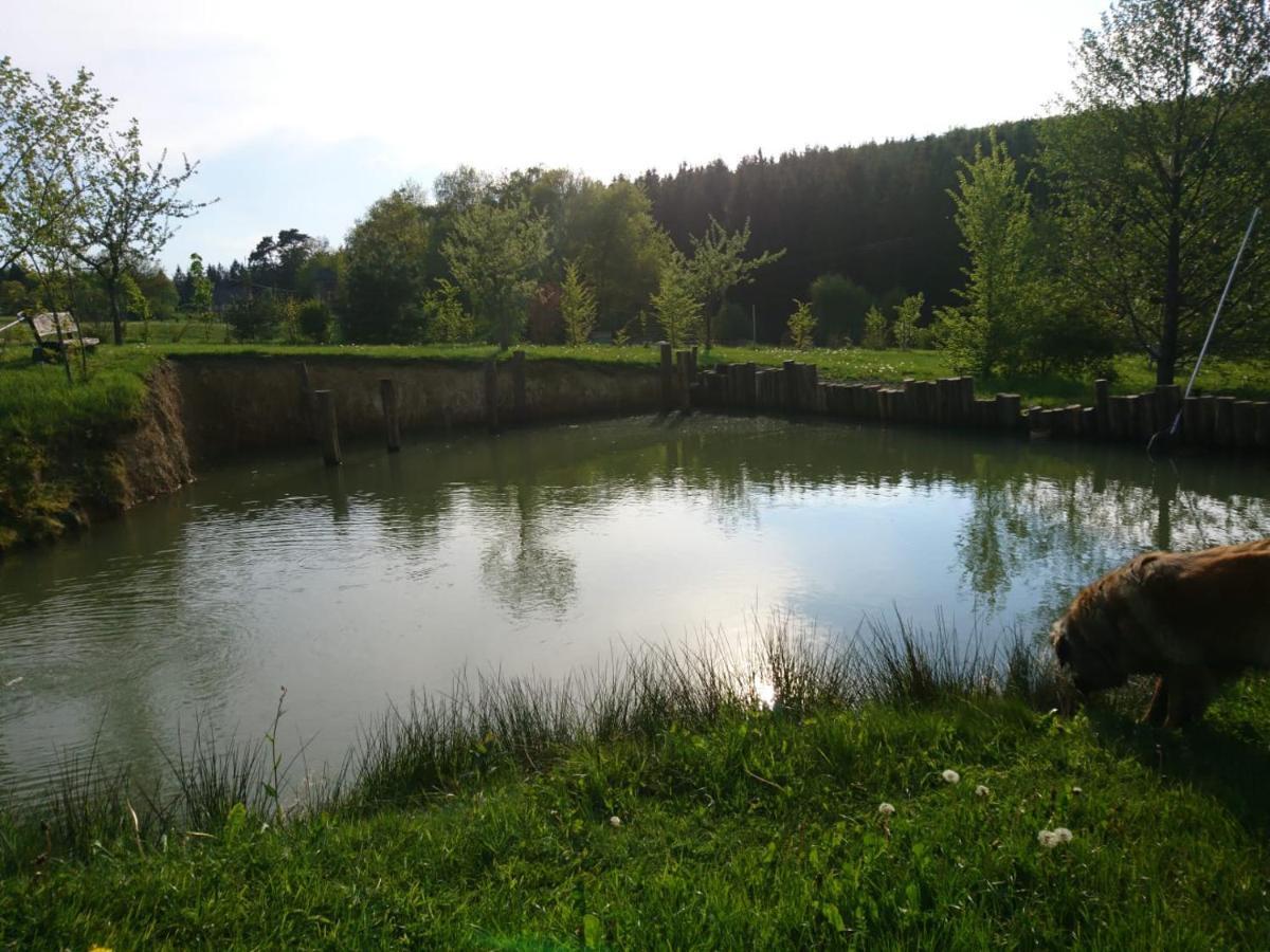 Ferienwohnung Hohe Acht Kaltenborn  Esterno foto