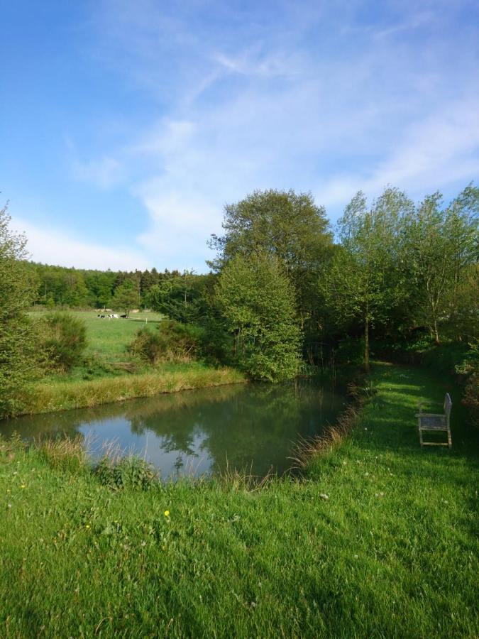 Ferienwohnung Hohe Acht Kaltenborn  Esterno foto