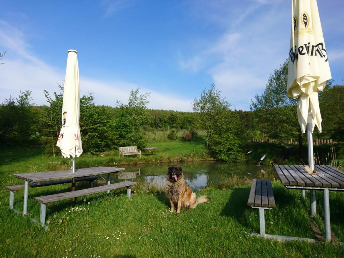 Ferienwohnung Hohe Acht Kaltenborn  Esterno foto