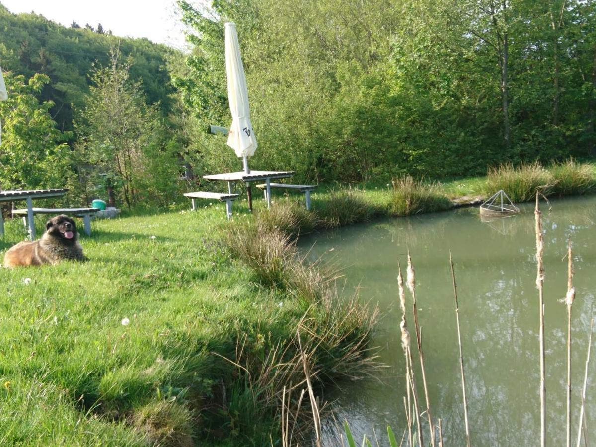 Ferienwohnung Hohe Acht Kaltenborn  Esterno foto